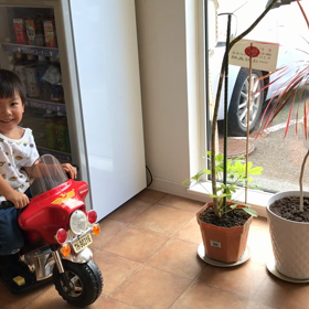 寄付してもらった電動バイクに乗る❤️✨の画像