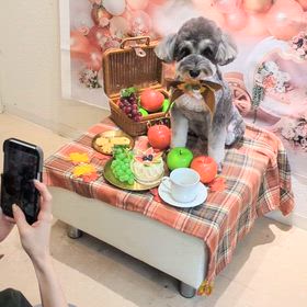 遠くても通いたくなるトリミングサロン✨✨ LouLou ✨✨の画像