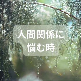 2024/09/15の画像
