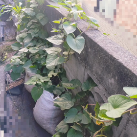 2023/08/31の画像