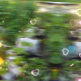 2022/06/12の画像