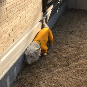 今日もの画像