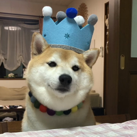 咀嚼音？の画像