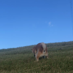 2020/10/24の画像