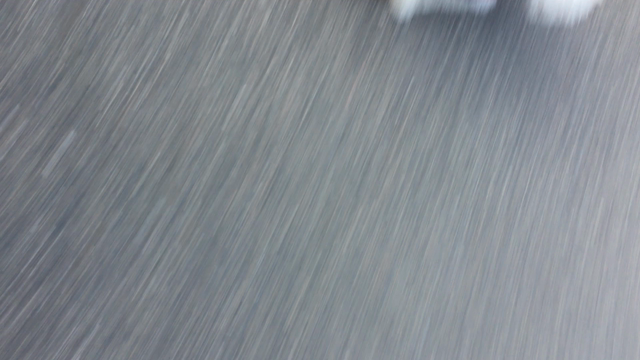 久しぶりのあさんぽの記事動画