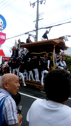 岸和田祭り( *´︶`*)の記事動画