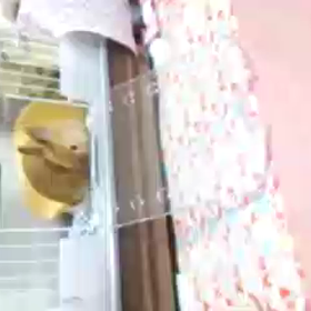 嬉しいＯ(≧∇≦)Ｏの画像