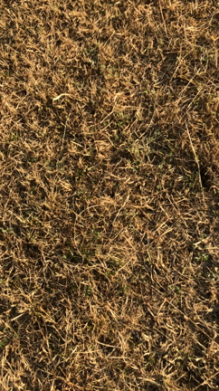 今日はいいお天気1の記事動画