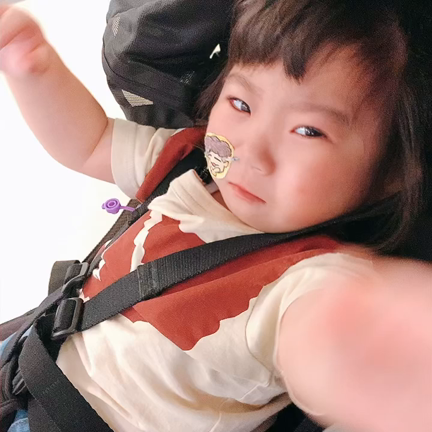 そうか、そうなのかの記事動画