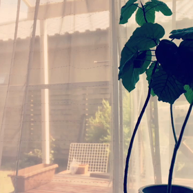 空梅雨の画像