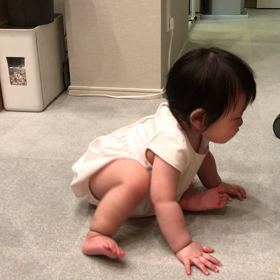 ねー！！の画像