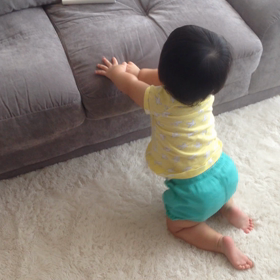 生まれたての子鹿の画像