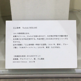 謎の芸術作品の画像