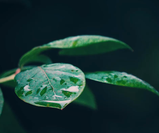 2023年7月演奏スケジュール。の記事動画