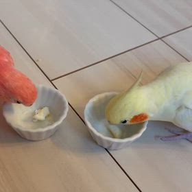一緒にお食事の画像