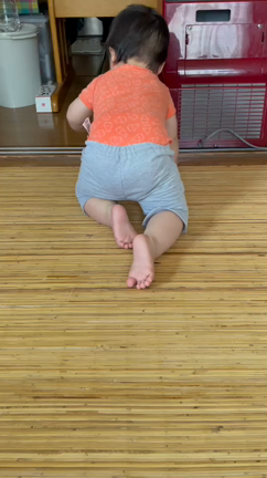 1歳の誕生日に届いたのはの記事動画