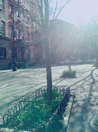 NY>>可愛い街並み♡♡♡<<の記事動画
