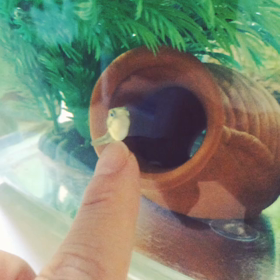 順調すぎる。の画像