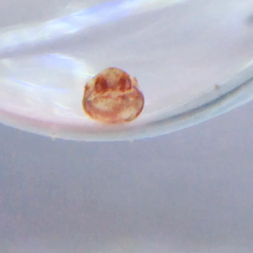 無力さに腹がたつ。の画像