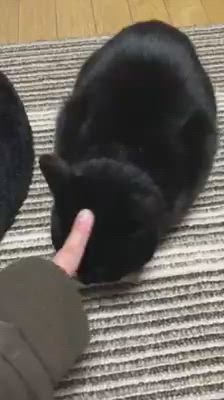 2026 10.4 Sun.の記事動画