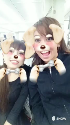 わんことの散歩の記事動画