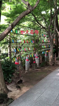 如意輪寺カエル寺の記事動画