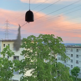 夕涼みの画像