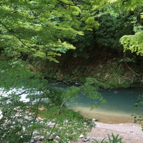 はえ縄漁  またまた仕掛けてきましたよ(前半)の画像