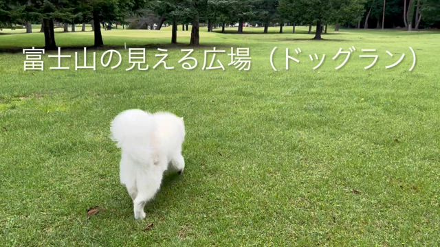 フジプレミアムリゾート2日目の記事動画