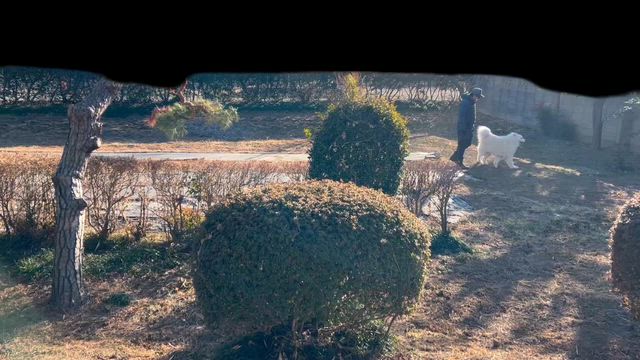 ハッスルハリボーツルヤと朝日新聞の記事動画