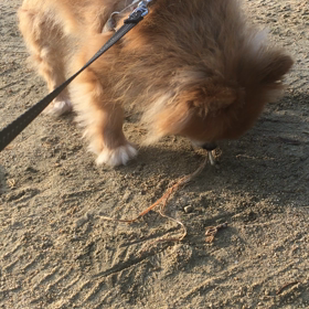 いつも通りになりましたの画像