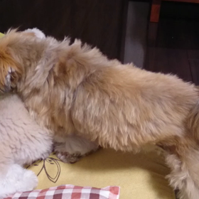 初めての…☆の画像