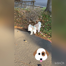 やっぱりまるは神の子ですの画像