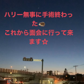 ハリーの病気の画像