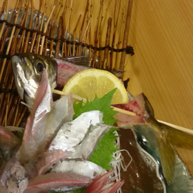 鯵の お造りの画像