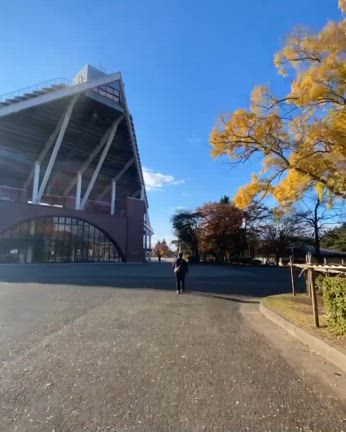 2024/11/13の記事動画