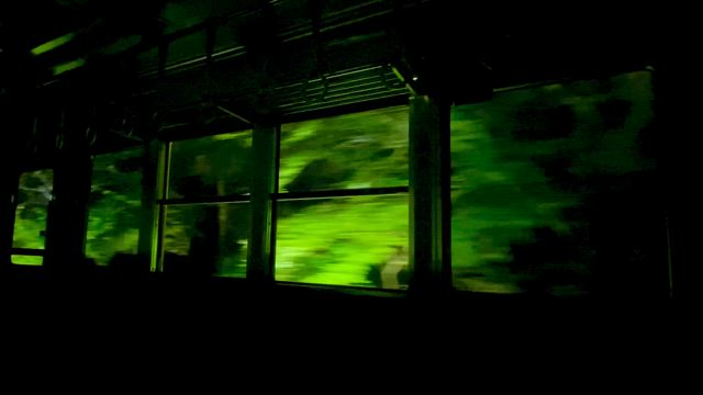 青もみじのトンネル☆緑の世界への記事動画