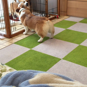 鬼ごっこのルールだよ！の画像