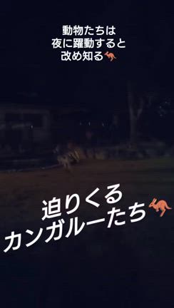 【大盛況＆超盛り上がった！ワクどき＆meets in 夜の動物園レポートと次回告知！！✨】の記事動画