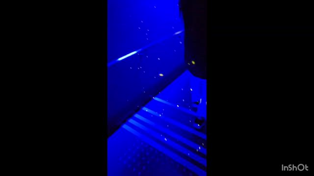 大阪万博に行って来たの記事動画