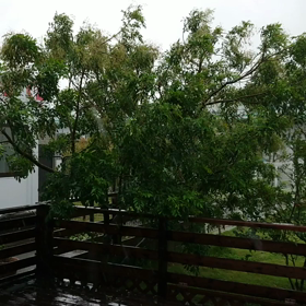 台風接近中(*_*)の画像