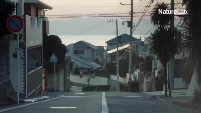 シャンプーのCMの記事動画