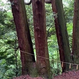 2026/05/25の画像
