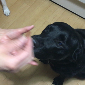 鼻バクバクポトン2の画像