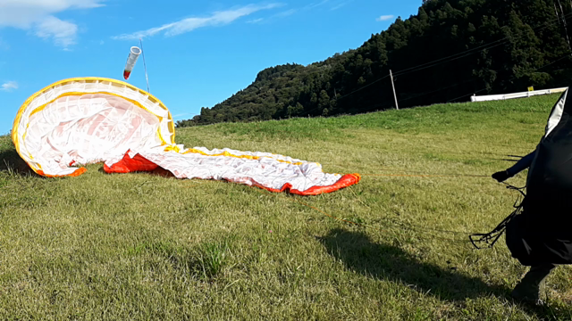 今日のトレーニングの記事動画