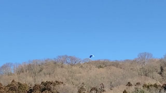 1/26うまっこ山②の記事動画
