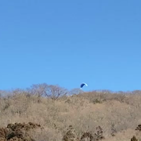 1/26うまっこ山②の画像