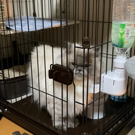 スカイ脱出動画(*^_^*)の画像