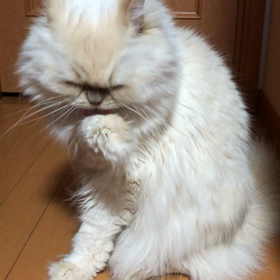 ずっと見てられます(*^_^*)の画像