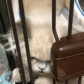 スカイ動画　3 months of ageの画像